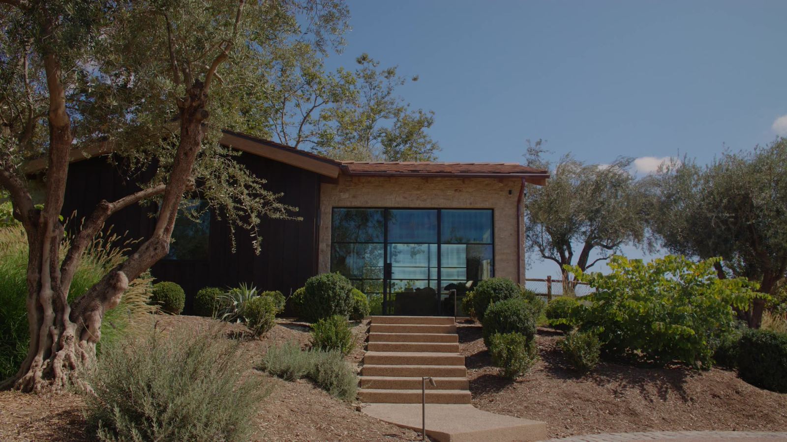 Board-and-batten elevation with poured concrete steps and mature olives