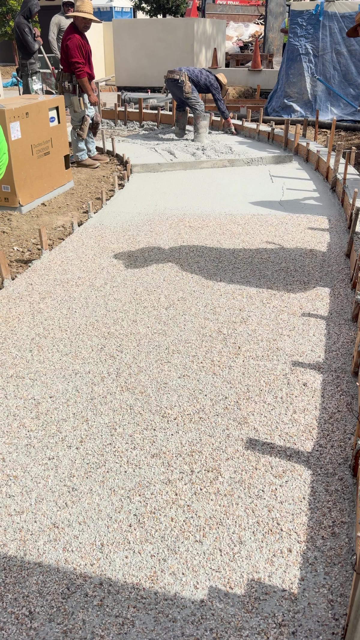 Hand-seeded exposed aggregate walkway during placement